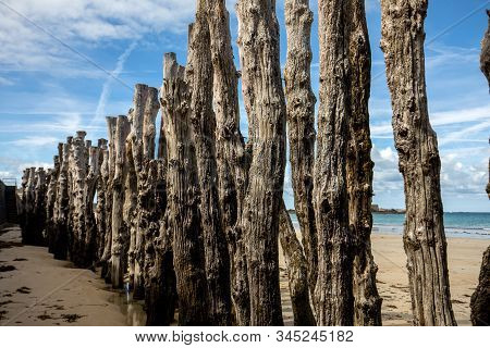 Big Breakwater, 3000 Trunks To Defend The City From The Tides, Plage De L Eventail Beach In Saint-ma
