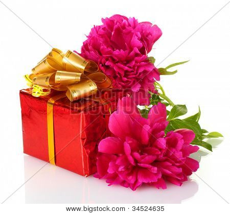beautirul-de-rosa flor de presente e peônia isolado no branco