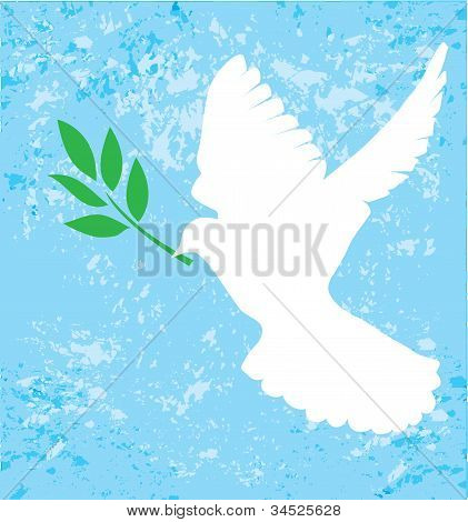 Dove