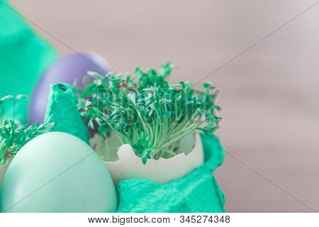 Decorative Handmade Easter Egg Present Box With Eggs And Cress. Beautiful Decoration Easternest Bask
