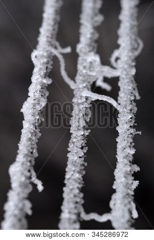 Hoarfrost On The Ropes In Winter Closeup. Shallow Depth Of Field