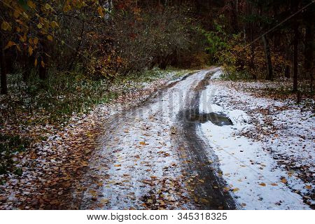 Snow Covered Country Road In Forest With Tire Marks In Off-season