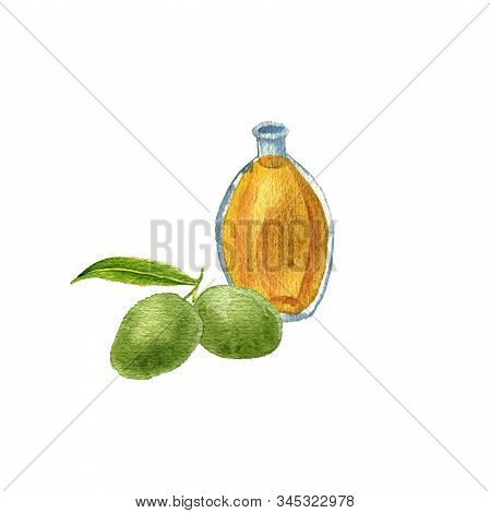Watercolor Drawing Dika Oil, Bottle Of Vegetable Oil And Wild Mangoes, Hand Drawn Illustration