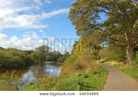Fiume Clyde, riserva naturale del barone Haugh, Motherwell