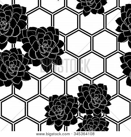 Vector Black And White Succulent Flower Hexagon Background Seamless Pattern Print