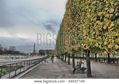 Parisisk Walkays