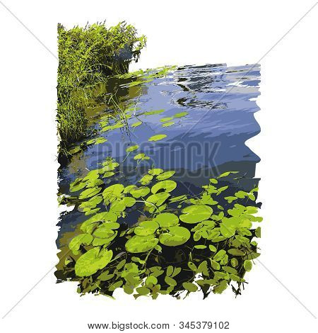 Realistic Lake With Water Lilies Or Lotus Leaves And Reed Isolated On White Background. Lake Plants,