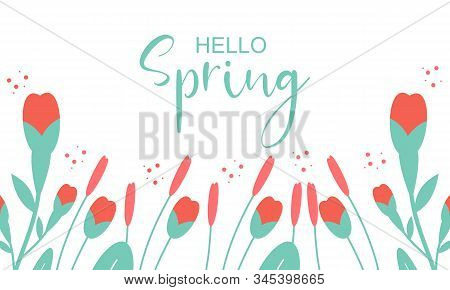 Hello Spring Text Vector Banner Greetings Design With Colorful Flower Elements Like Daisy And Sunflo