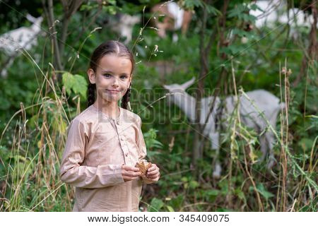 Little girl goatherd in forest. Cute girl with beautiful but dirty face grazing goats, summer outdoor