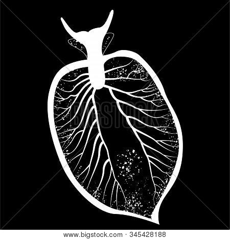 Elysia Chlorotica. Eastern Emerald Elysia. Green Sea Slug, Marine Gastropod Mollusc. Vector Illustra