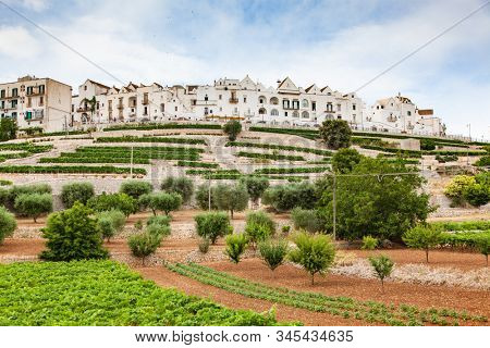 beautiful ancient city Locorotondo, Apilia, Italy