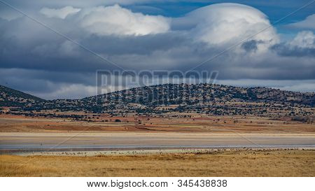 Gallocanta Salt Lagoon And Cranes In Teruel And Zaragoza, Spain