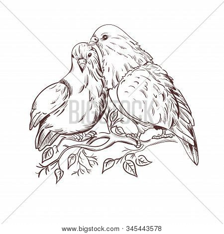 February 14, Pigeon Birds Symbol Of Love Isolated Couple On Branch. St. Valentines Day Holiday Greet