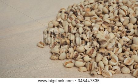 Job's Tears, Also Known As Adlay And Coix On Calico Background. Popular In Asian Cultures As A Food 
