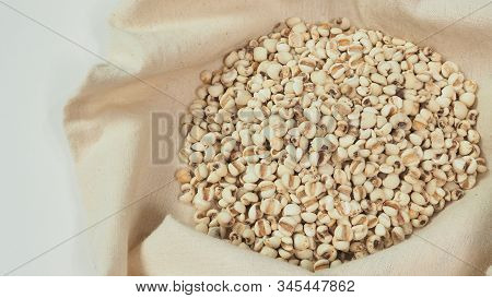 Job's Tears, Also Known As Adlay And Coix In Calico And White Background. Popular In Asian Cultures 
