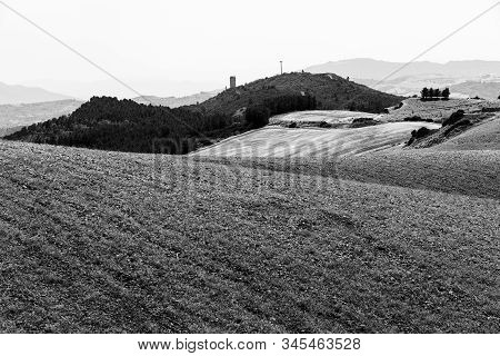 Rural Landscape Near Montalbano Jonico, Matera, Basilicata, Italy, At Summer. Black And White