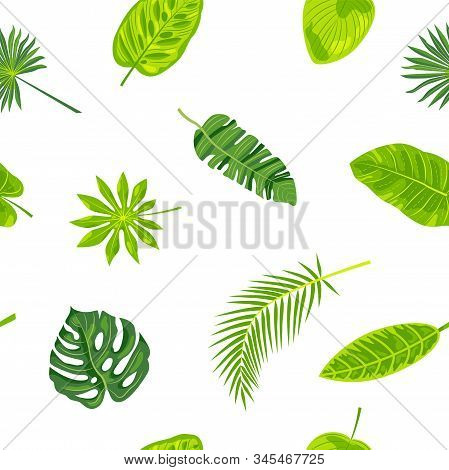 Jungle Leaves Seamless Pattern Vector Illustration. Vector Illustration