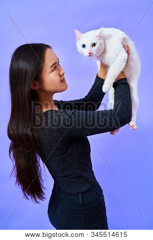 A Cat With A Different Eye Color, A Girl With Glasses Holds A White Cat, Bright Colours