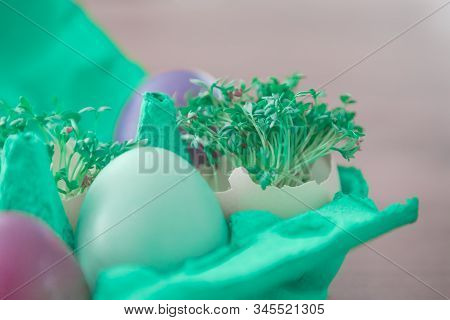 Decorative Handmade Easter Egg Present Box With Eggs And Cress. Beautiful Decoration Easternest Bask