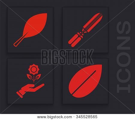 Set Leaf, Leaf, Gardening Handmade Scissors For Trimming And Hand Holding Flower Icon. Vector