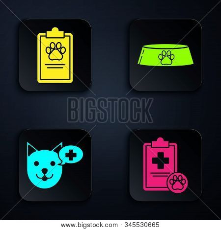 Set Clipboard With Medical Clinical Record Pet, Clipboard With Medical Clinical Record Pet, Veterina