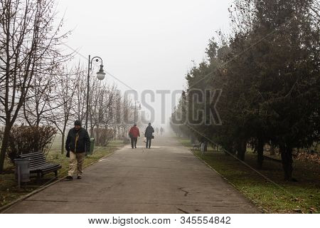 Scenic View Of A Path Through The Beautiful Public Park Of Izvor In A Foggy Winter Morning. Izvor Pa
