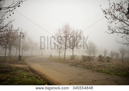 Scenic View Of A Path Through The Beautiful Public Park Of Izvor In A Foggy Winter Morning. Izvor Pa