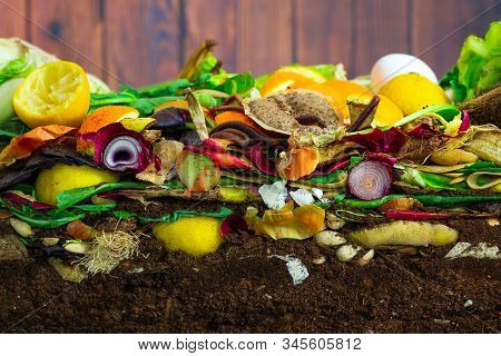 Earthwoms Living In A Colorful Compost Heap Consisting Of Rotting Kitchen Leftovers