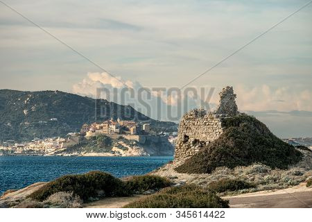 Punta Caldanu And Citadel Of Calvi In Corsica