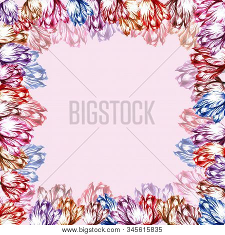 Hand Painted Watercolor Valentine's Day Wedding Pink Tulip Frame Border