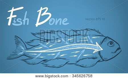 Ishikawa Fishbone Diagram Detailed Vector Sketch Illustration