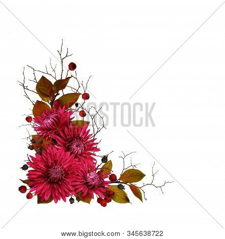 Purple Chrysanthemum Flowers And Autumn Dry Twigs In A Corner Arrangement Isolated On White Backgrou