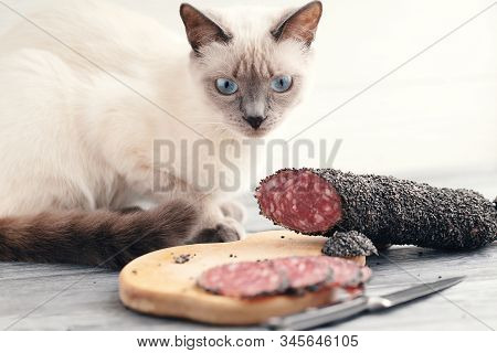 A Cat Sits On A Table And Sniffs A Sliced Smoked Sausage.