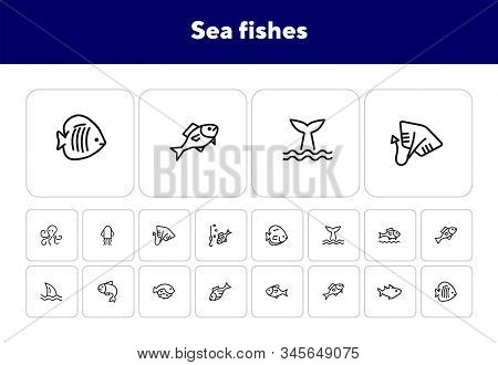Sea Fishes Icon Set. Seaanimal Concept. Vector Illustration Can Be Used For Topics Like Seafood, Cui