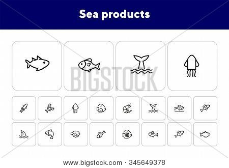 Sea Products Icon Set. Seaanimal Concept. Vector Illustration Can Be Used For Topics Like Seafood, C