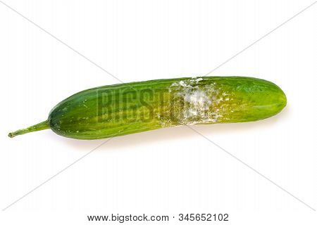 A Cucumber With Mold. Rotten Cucumber Isolated On White Background