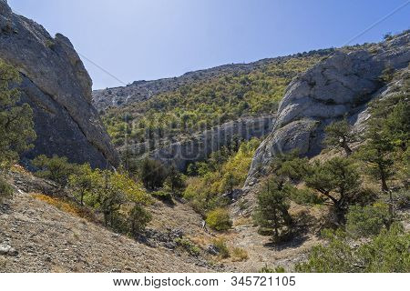 A Small Gorge In The Crimean Mountains. The Foot Of The Sokol Mountain (kush-kaya), The Black Sea Co