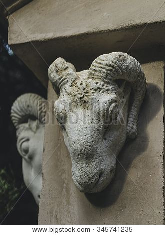 Stone Decorative Ram Heads
Ornamental Animal Heads Nestled In A Wall
