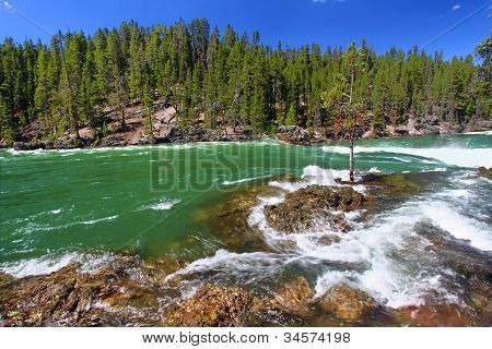 Rápidos del río Yellowstone