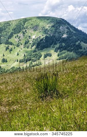 Big Fatra Mountains, Slovak Republic. Seasonal Natural Scene. Travel Destination. Hiking Theme.
