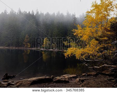 Šumava, Czech Republic, Autumn In Šumava National Park