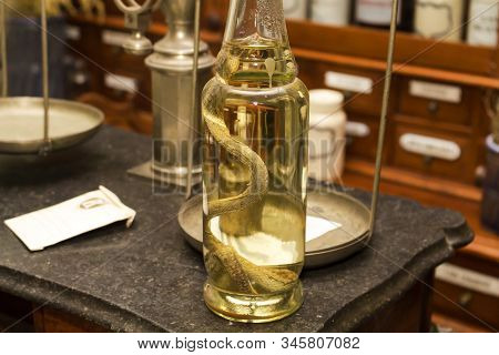 Exhibit Snake In Formaldehyde Inside The Bottle Is On The Table Of The Pharmacist