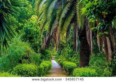 Tropical Garden In Sala Colonia And Islamic Complex Chellah, Mosque And Minaret. Chellah Is The Necr