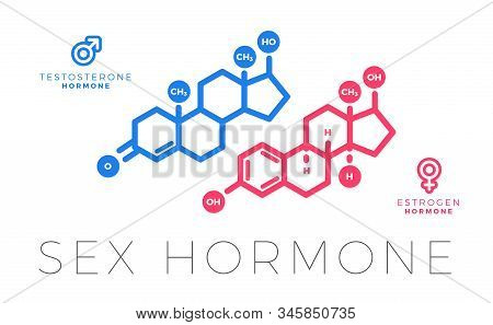 Testosterone And Estrogen, Sex Hormone Molecule. Isolated Vector Illustration