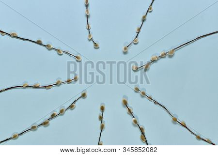 The Verve Sprigs Are Framed Around In The Center On A Blue Background.