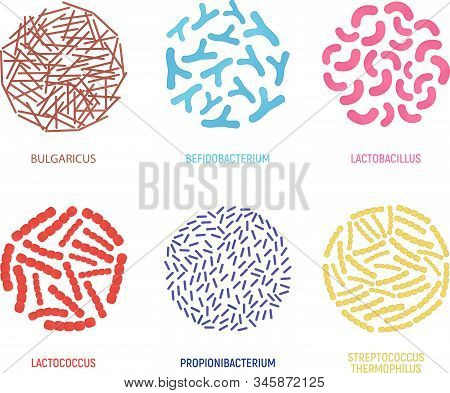 Set Of Probiotics Icon. Concept Logo And Label. Health Research Symbol, Icon And Badge. Cartoon Vect