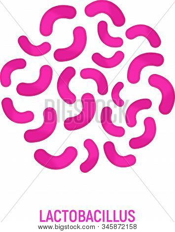 Lactobacillus Icon. Probiotic Concept Logo And Label. Health Research Symbol, Icon And Badge. Cartoo