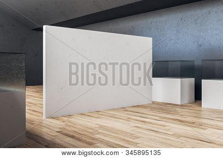 Contemporary Gray Gallery Interior With Empty Wall And Aquarium. Gallery, Advertisement, Presentatio