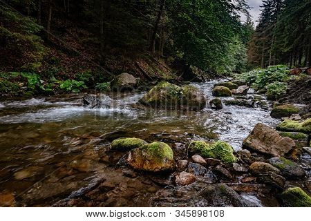 Mountain Stream In High Tatras National Park, Poland