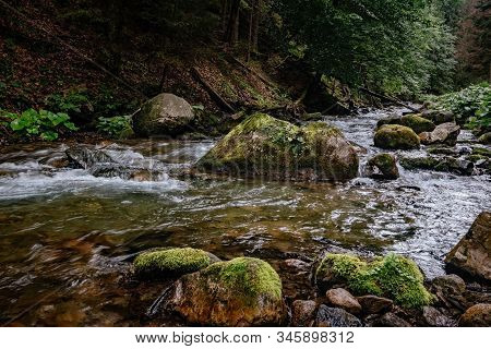 Mountain Stream In High Tatras National Park, Poland